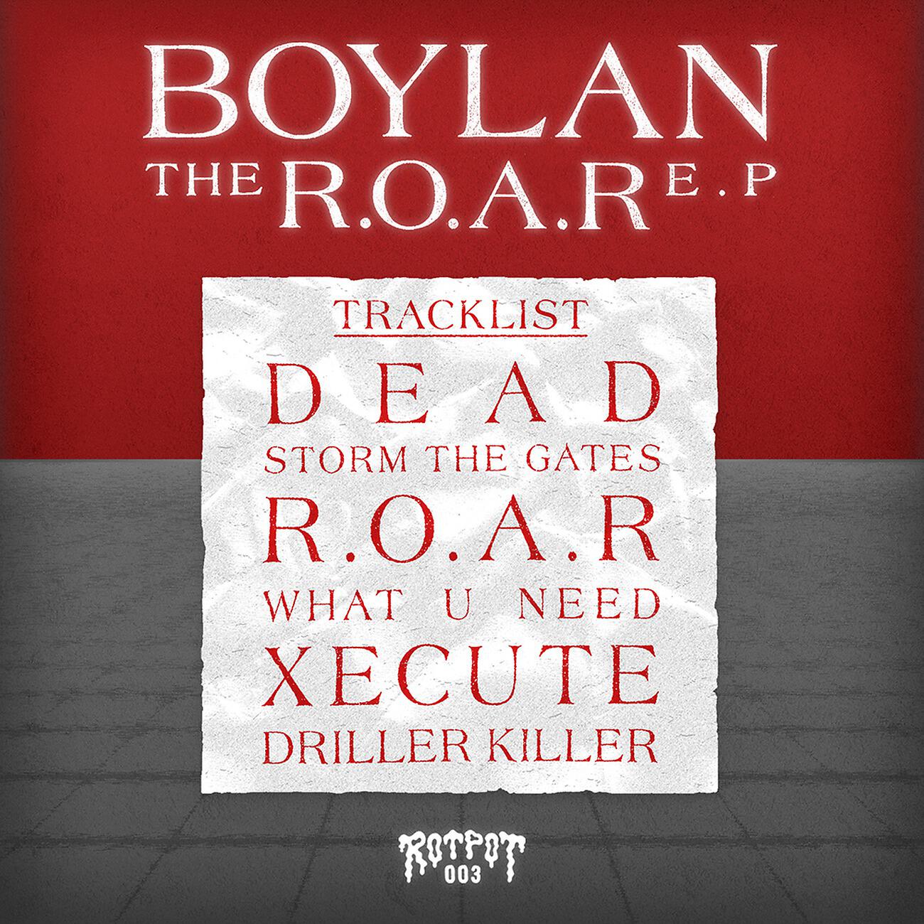 Boylan - Driller Killer