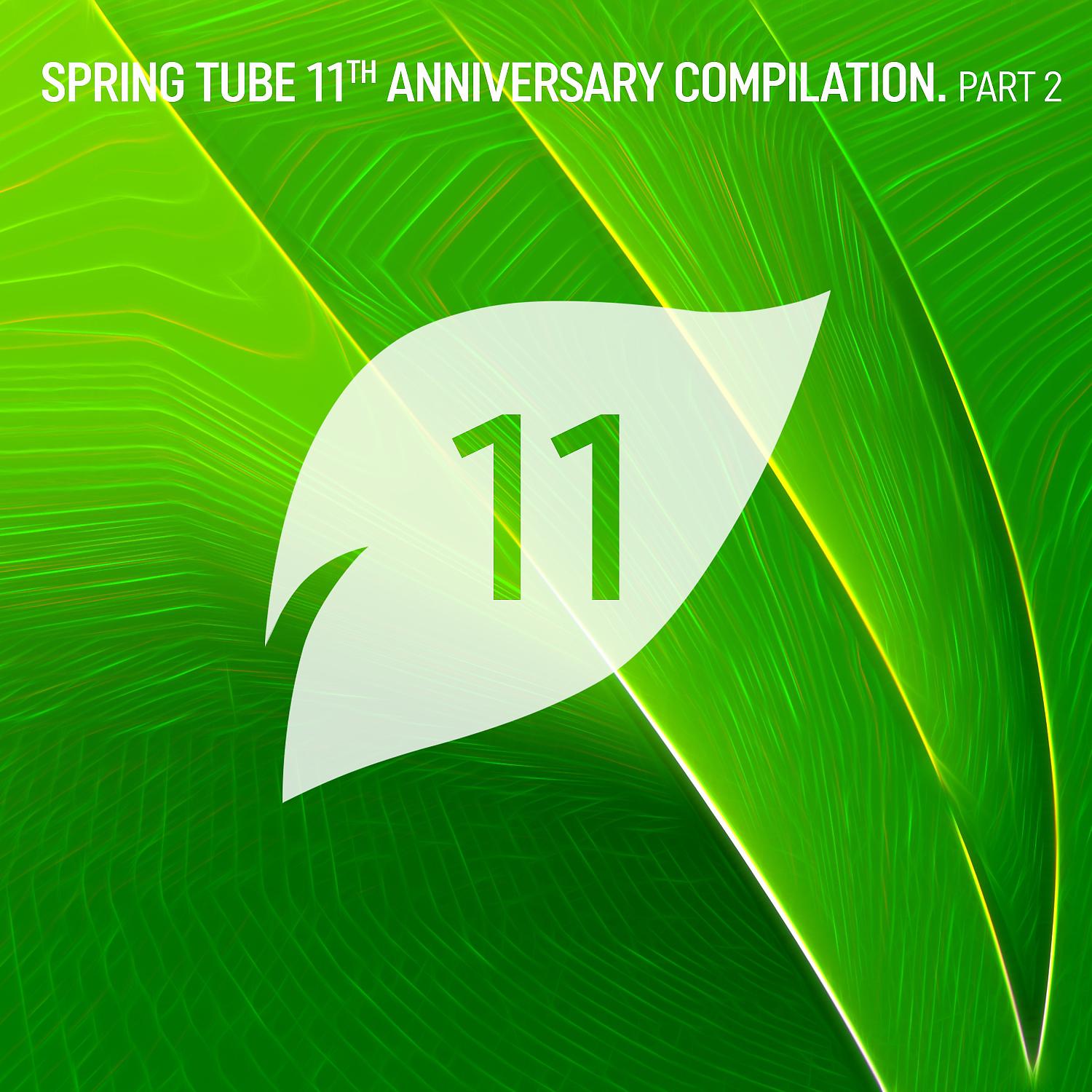 Постер альбома Spring Tube 11th Anniversary Compilation, Pt.2