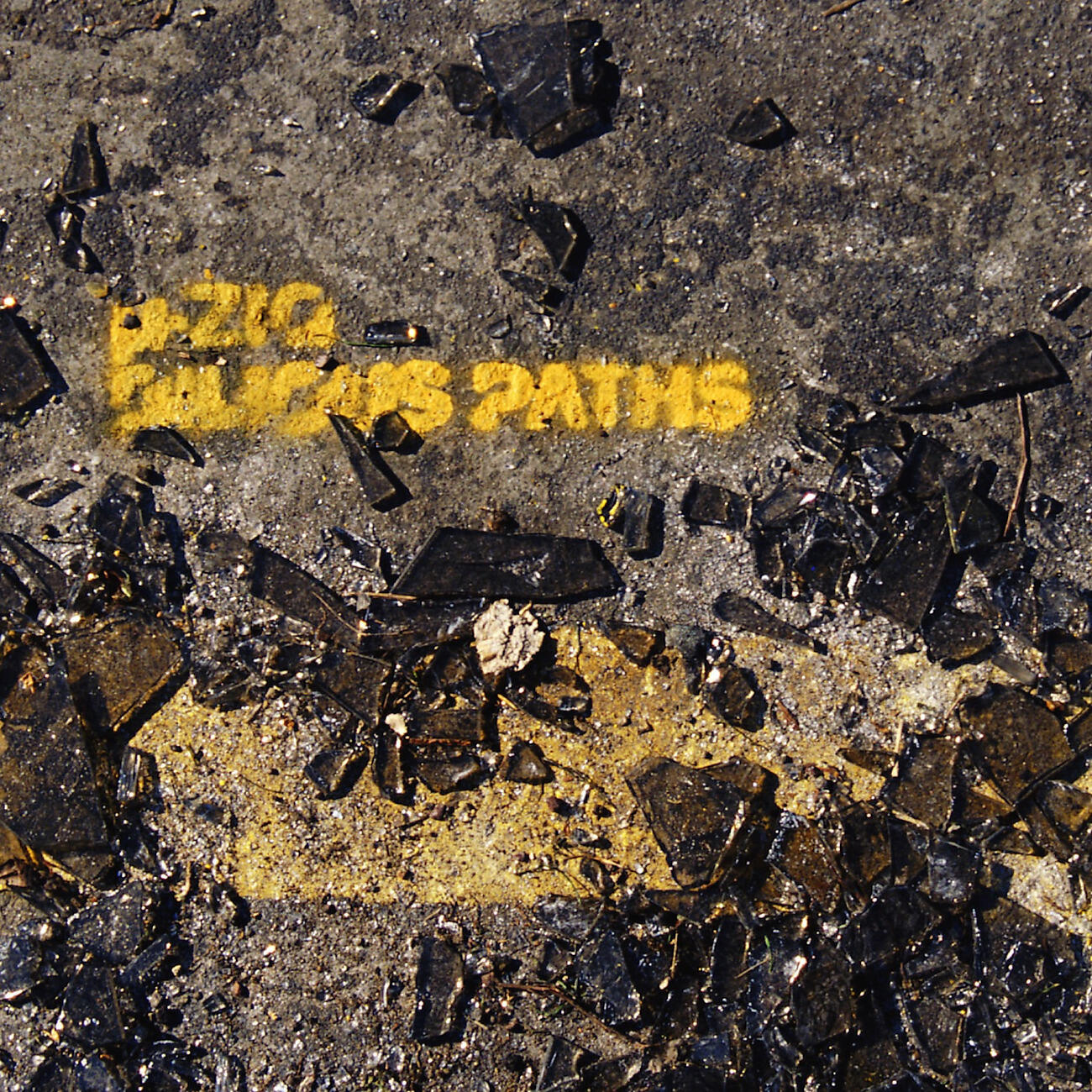 µ-Ziq - Siege Of Antioch