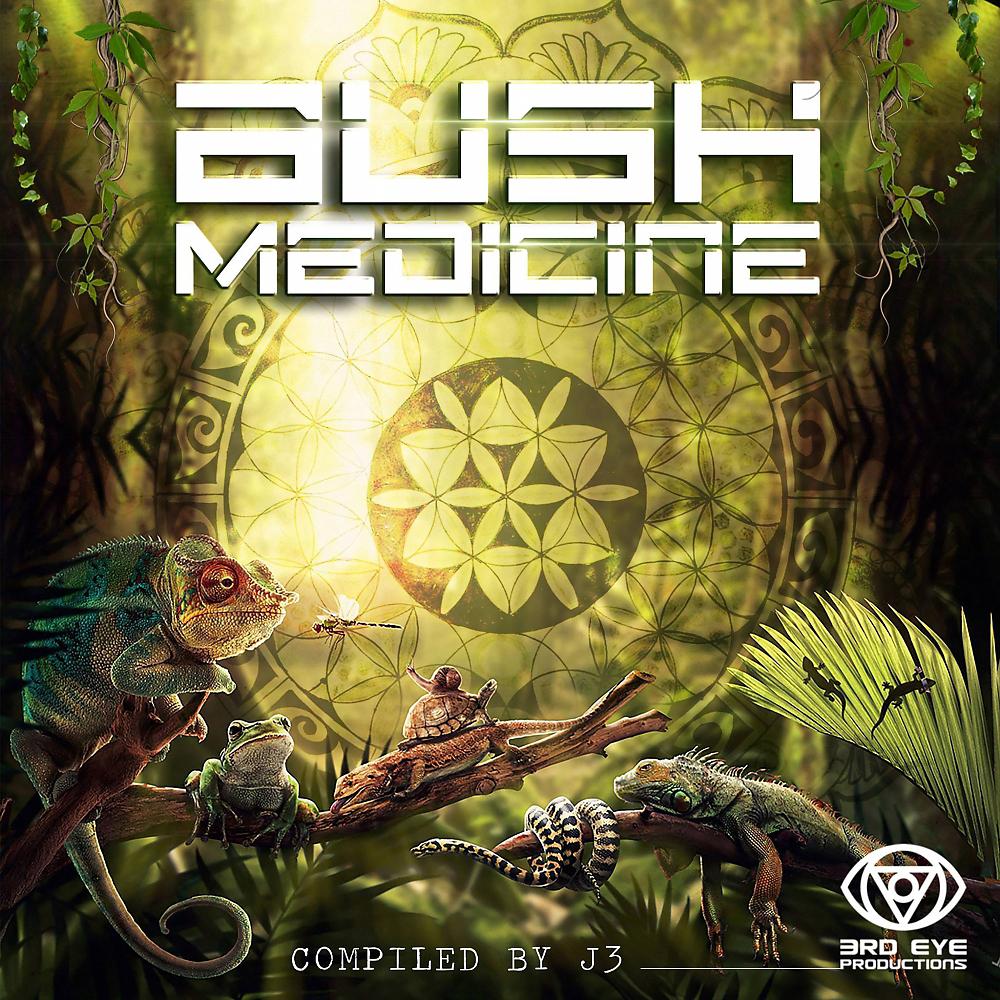Постер альбома Bush Medicine