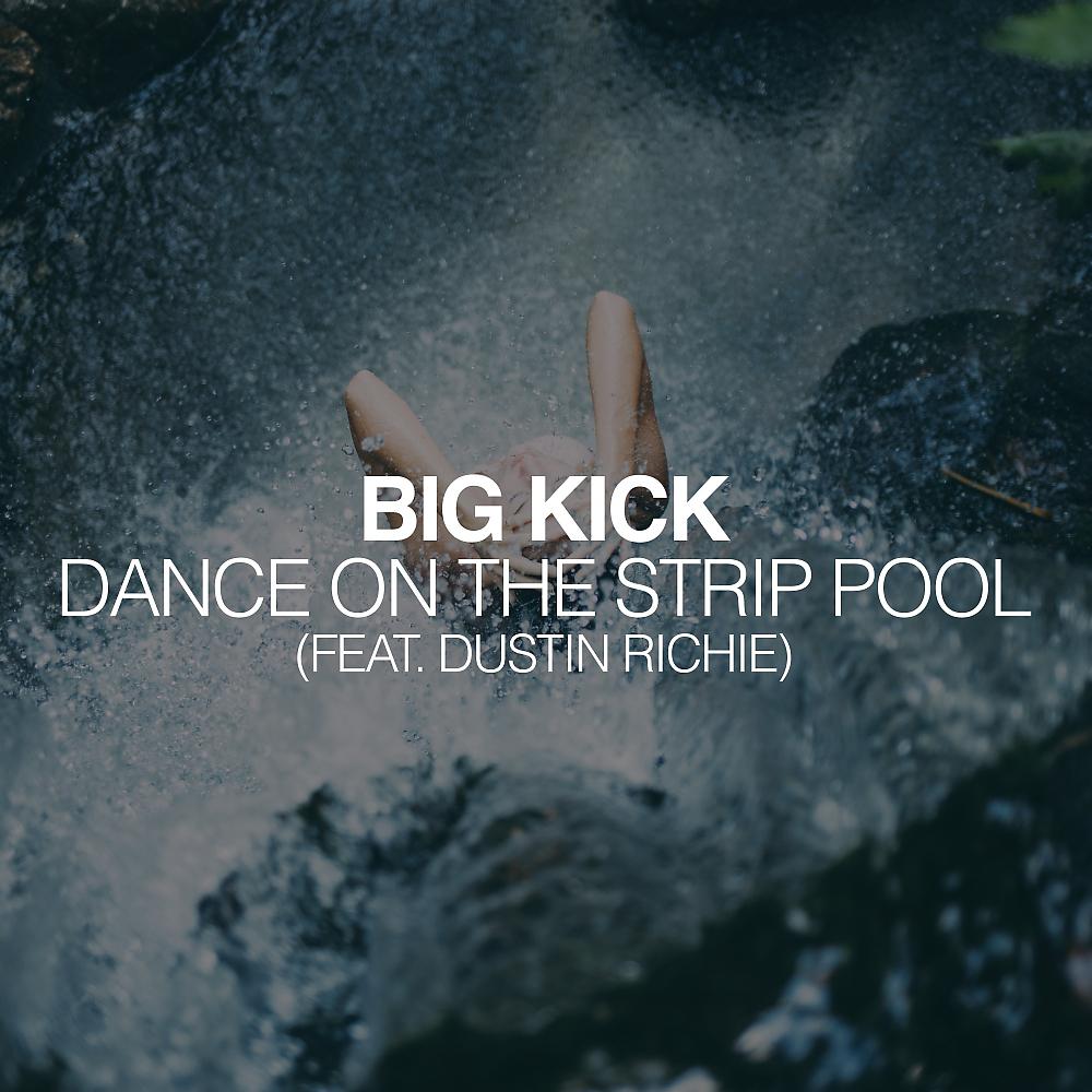 Постер альбома Dance On The Strip Pool (Radio Edit)