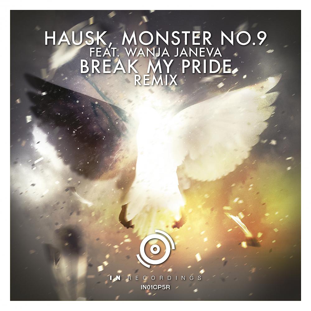 Постер альбома Break My Pride: Remix