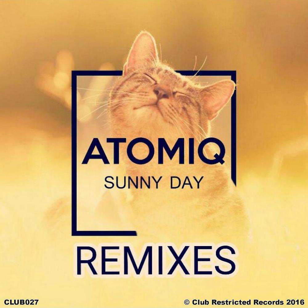 Постер альбома Sunny Day Remixes