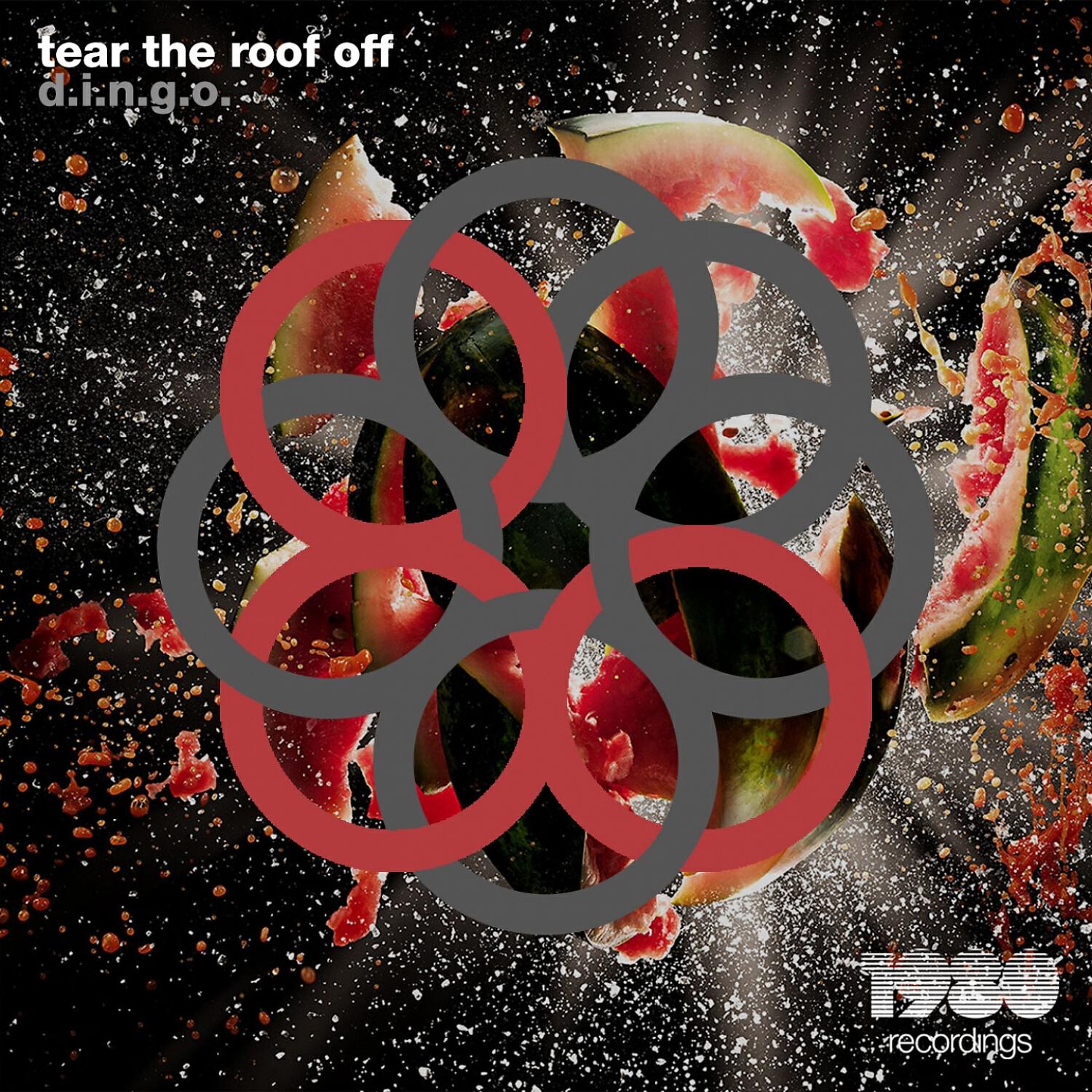 D.I.N.G.O. - Tear the Roof Off (Alan Junior & Dan Mckie Remix)