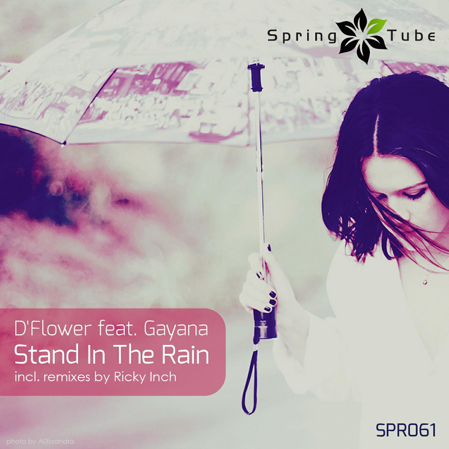 D'Flower - Stand in the Rain (Ricky Inch 'Organic' Dub)
