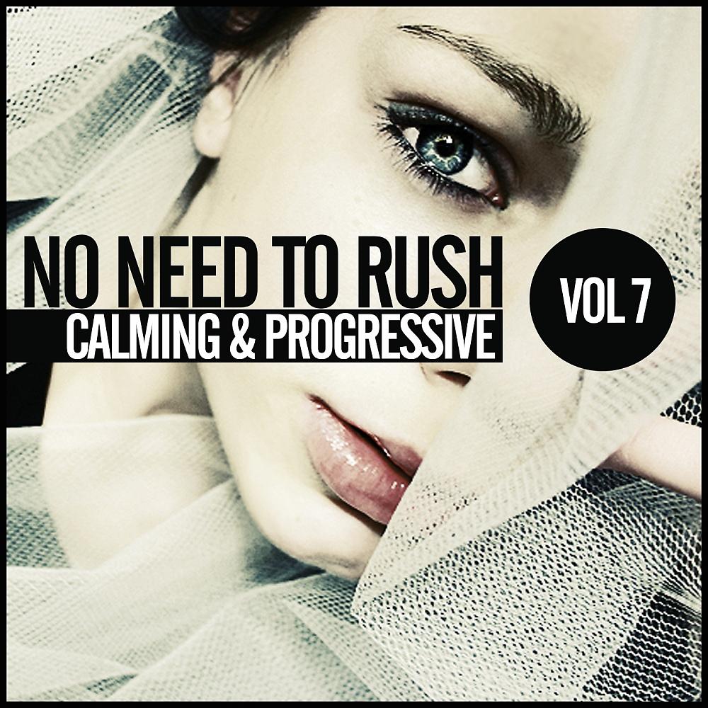 Постер альбома No Need To Rush, Vol. 7: Calming & Progressive