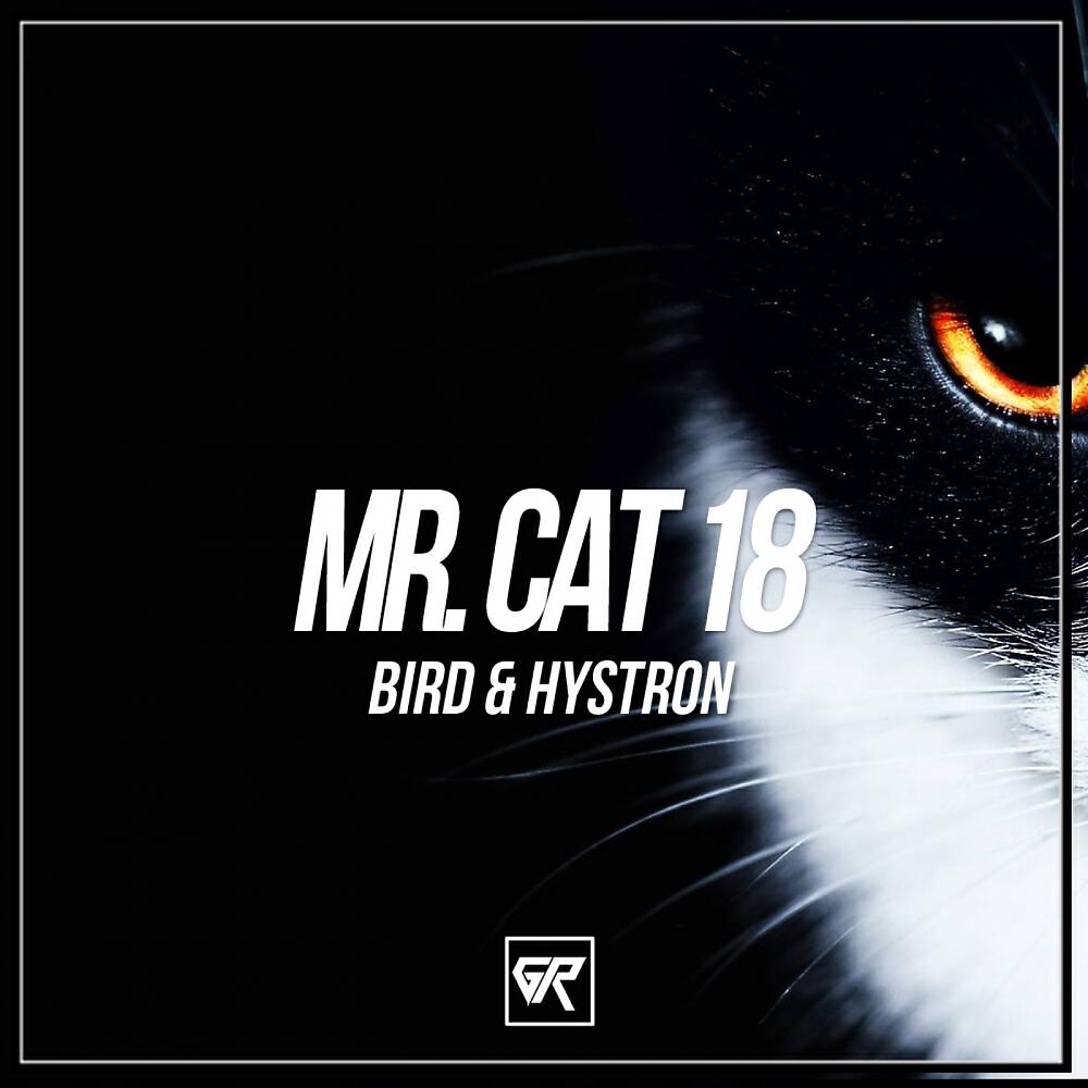 Bird - Mr. Cat 18