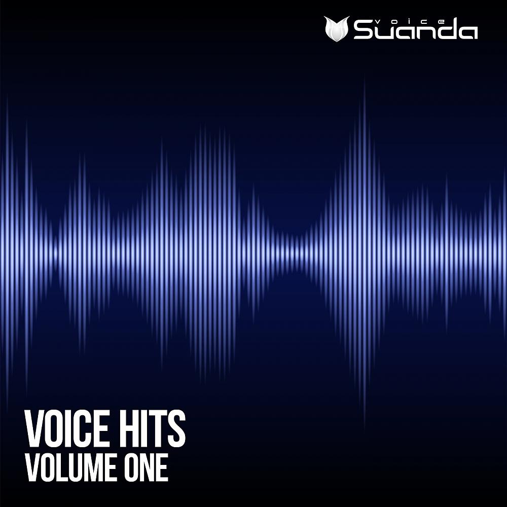 Постер альбома Voice Hits, Vol. 1