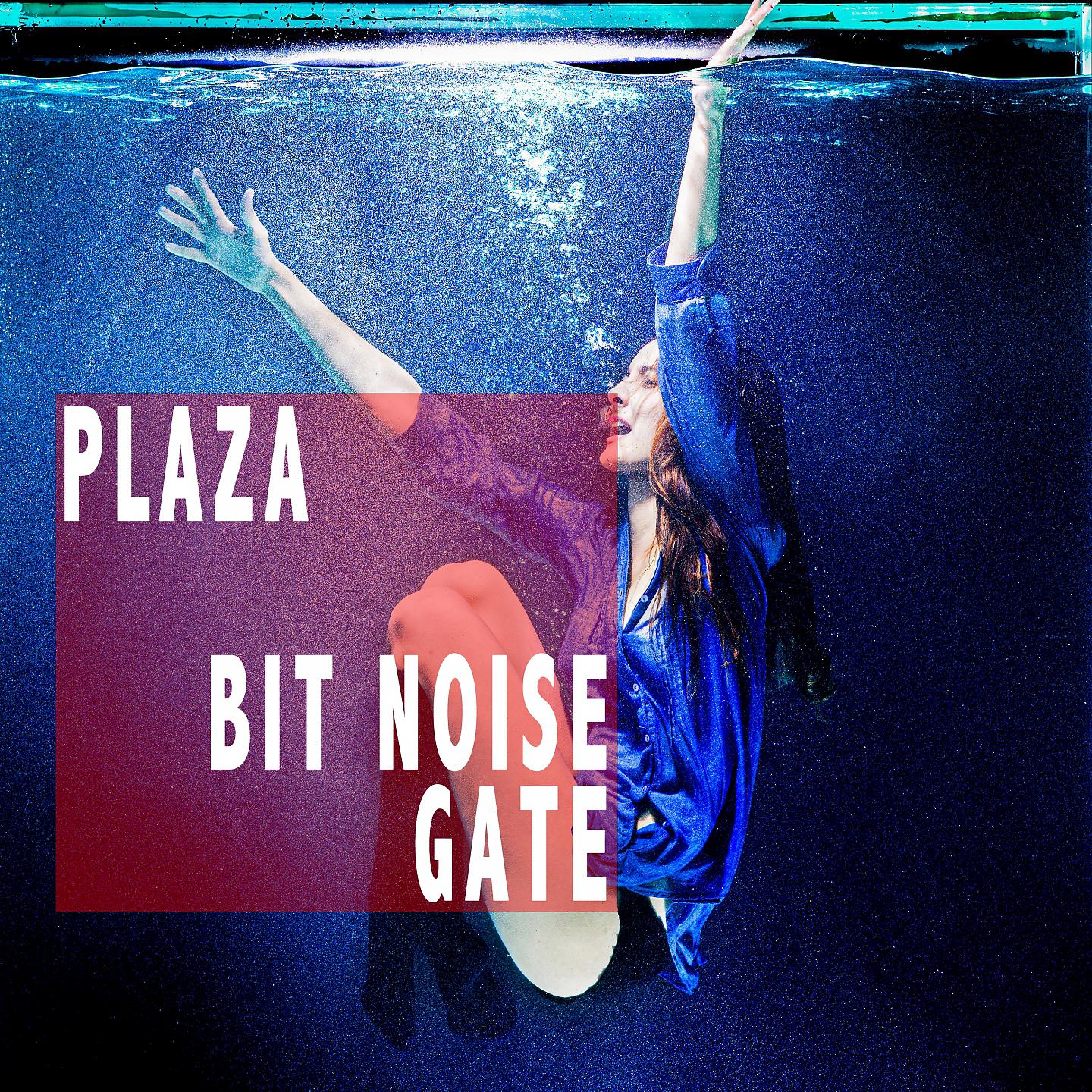 Постер альбома Bit Noise Gate