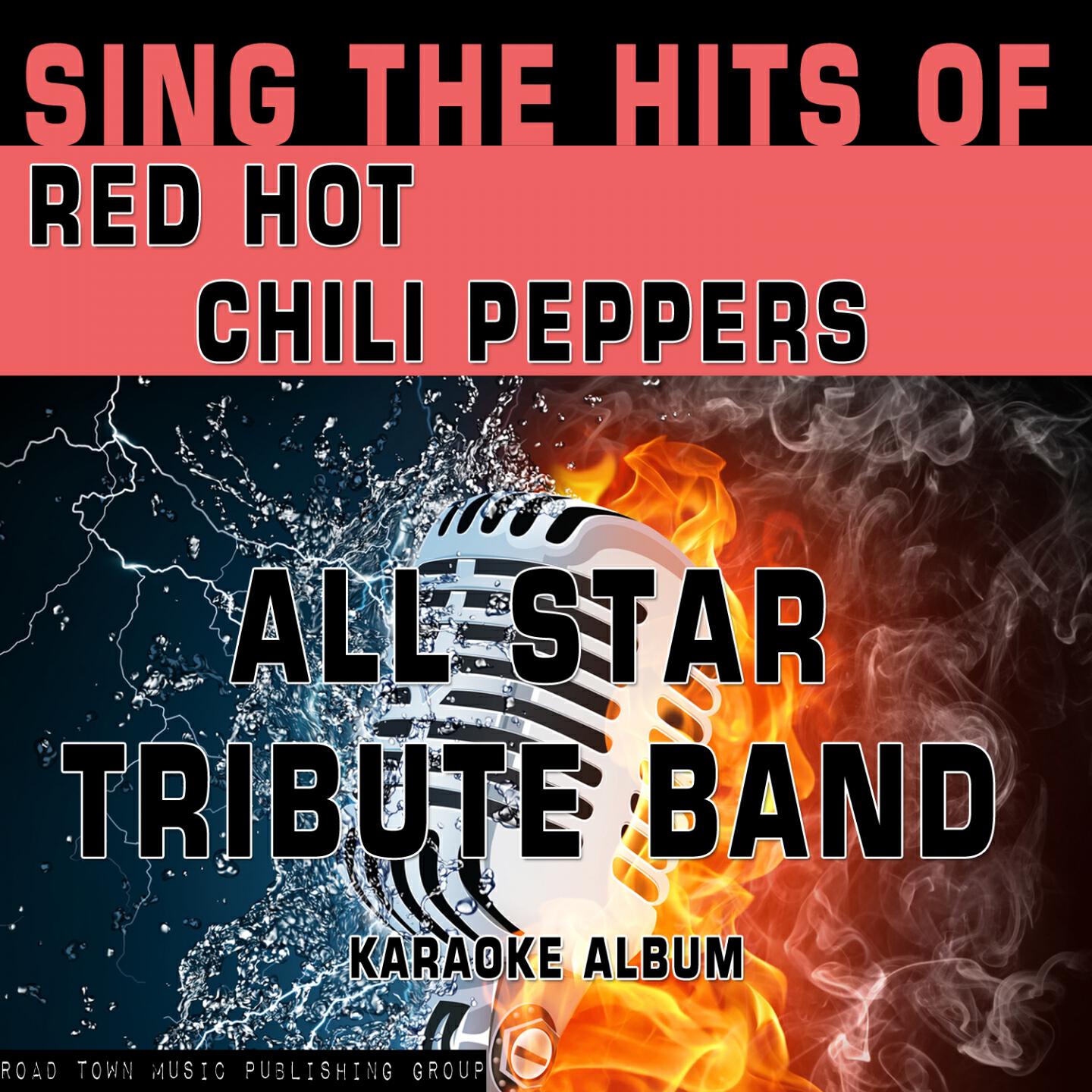 All Star Tribute Band - Otherside (Karaoke Version) (Originally Performed By Red Hot Chili Peppers)