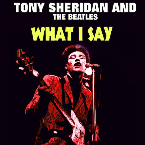 Tony Sheridan - Take Out Some Insurance