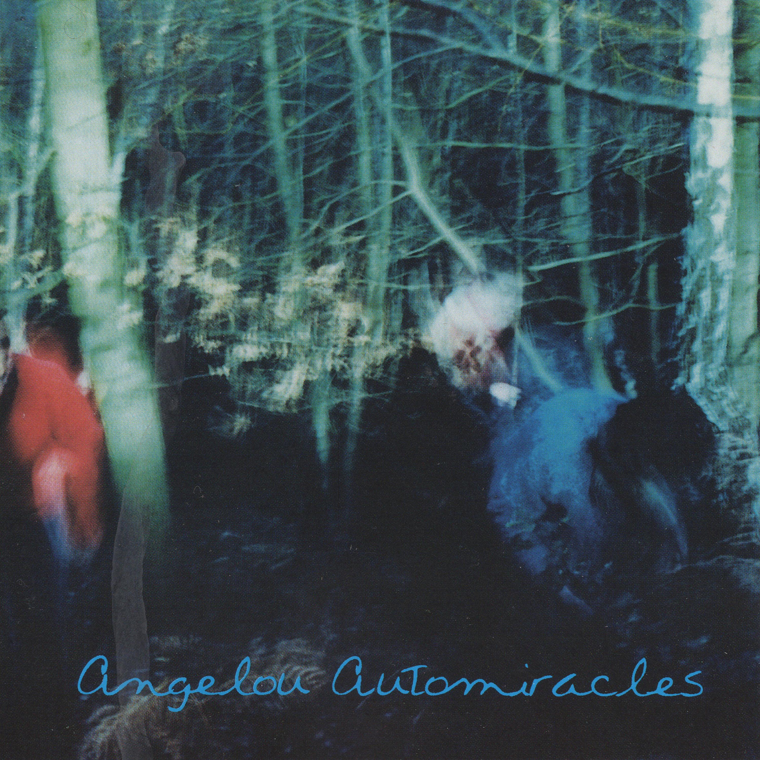 Постер альбома Automiracles