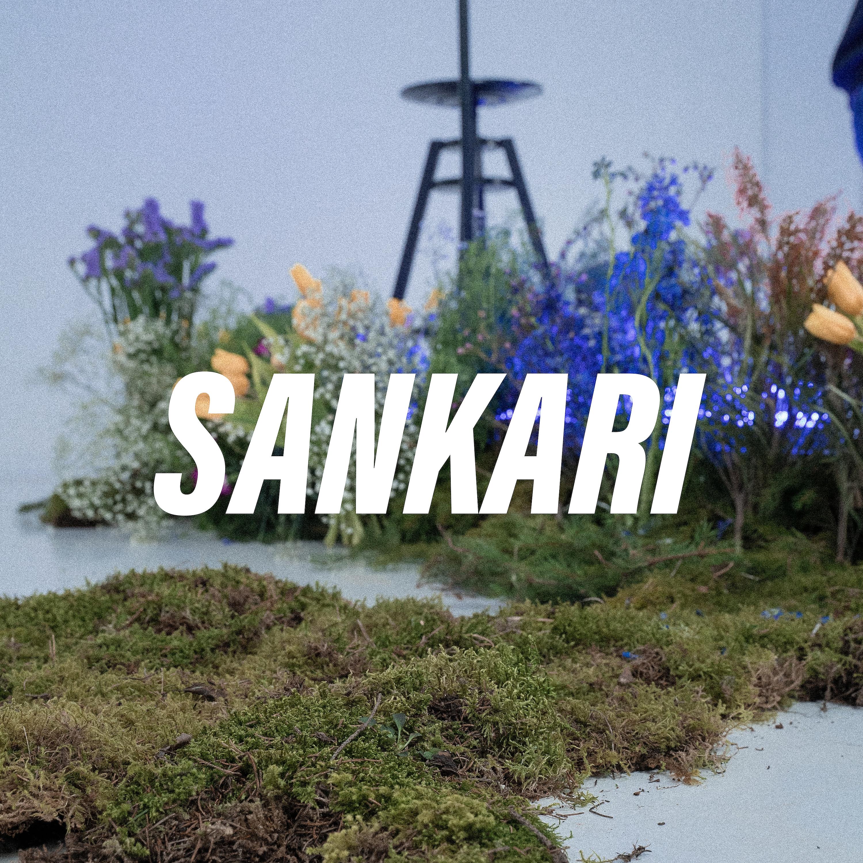 Постер альбома Sankari