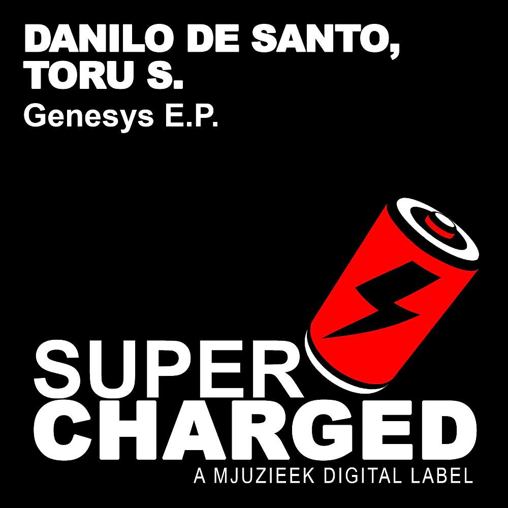 Danilo De Santo - Welcome To The Jungle