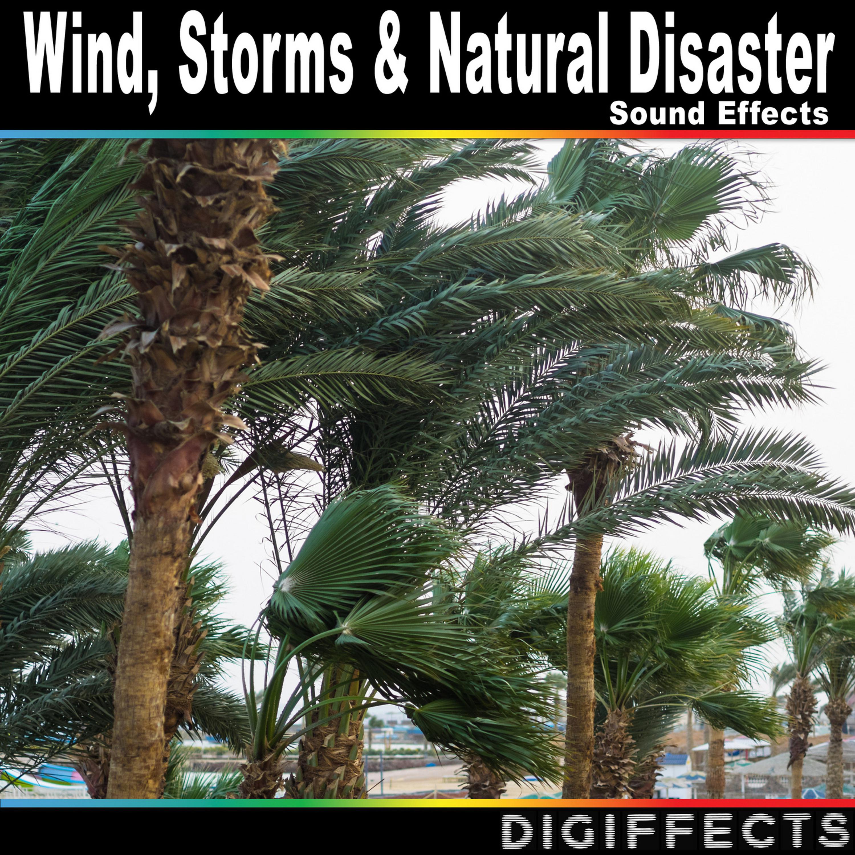 Digiffects Sound Effects Library - Distant Rain and Thunder with Rumble Version 2