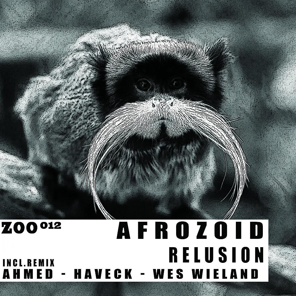 Afrozoid - Relusion (Haveck Remix)