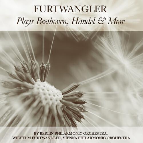 Berlin Philharmonic Orchestra - Symphony No. 5, in C Minor, Op. 67: II. Andante con moto - piu mosso