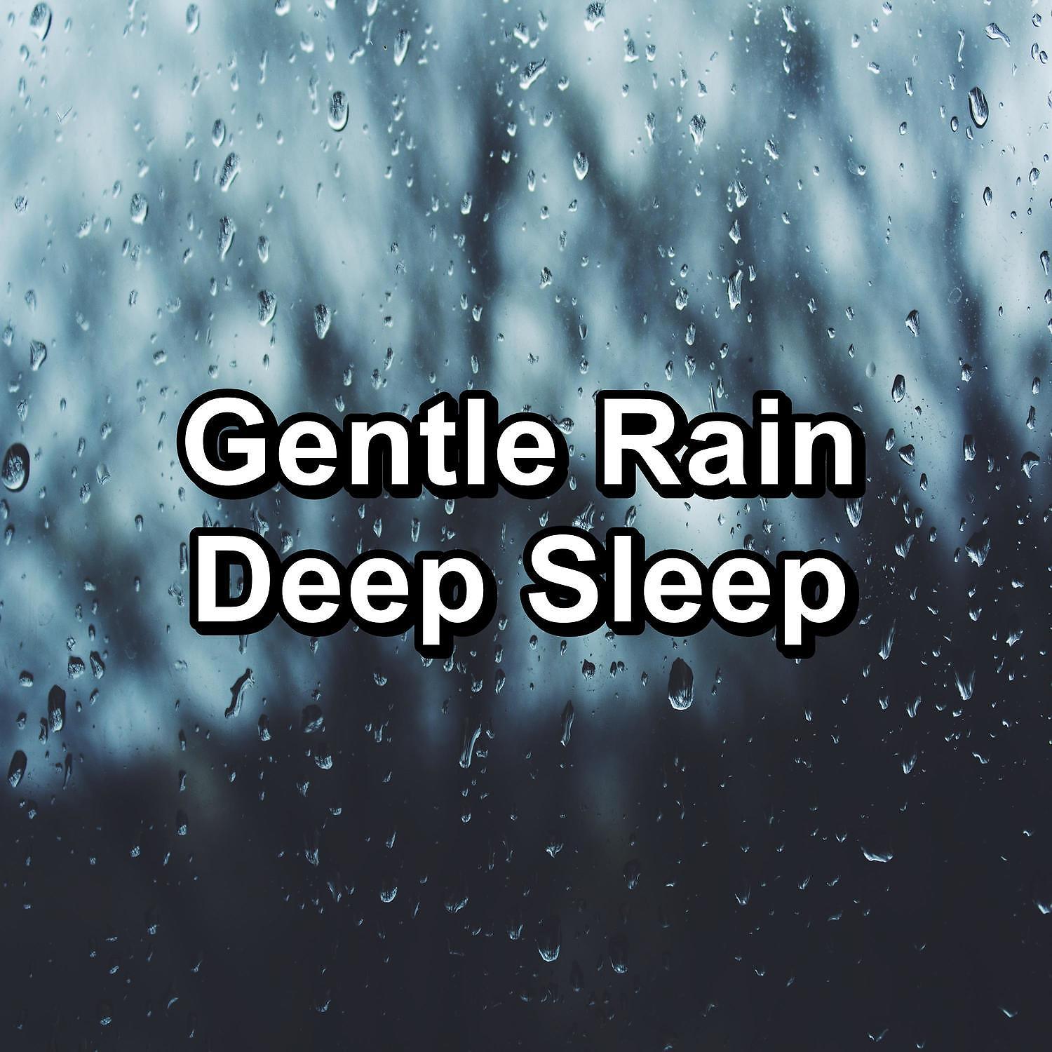 Постер альбома Gentle Rain Deep Sleep