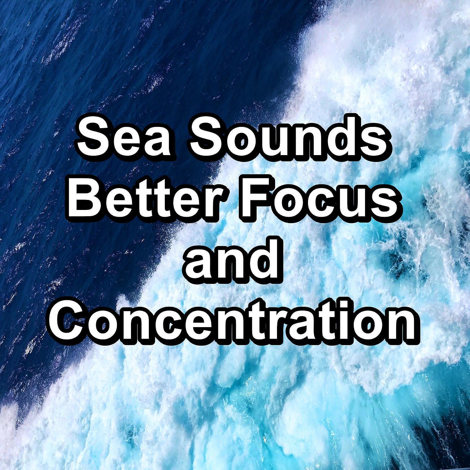 Постер альбома Sea Sounds Better Focus and Concentration