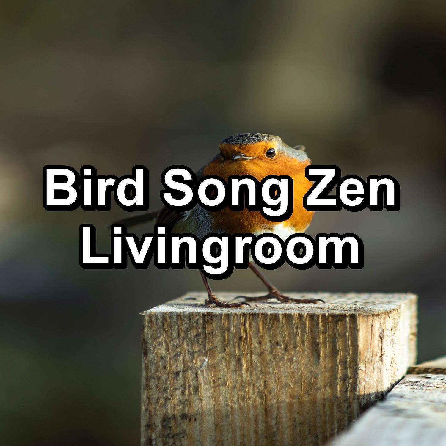 Meditation Spa - Rest Bird Sounds ASMR Instant Relaxing To Loop for 24 Hours
