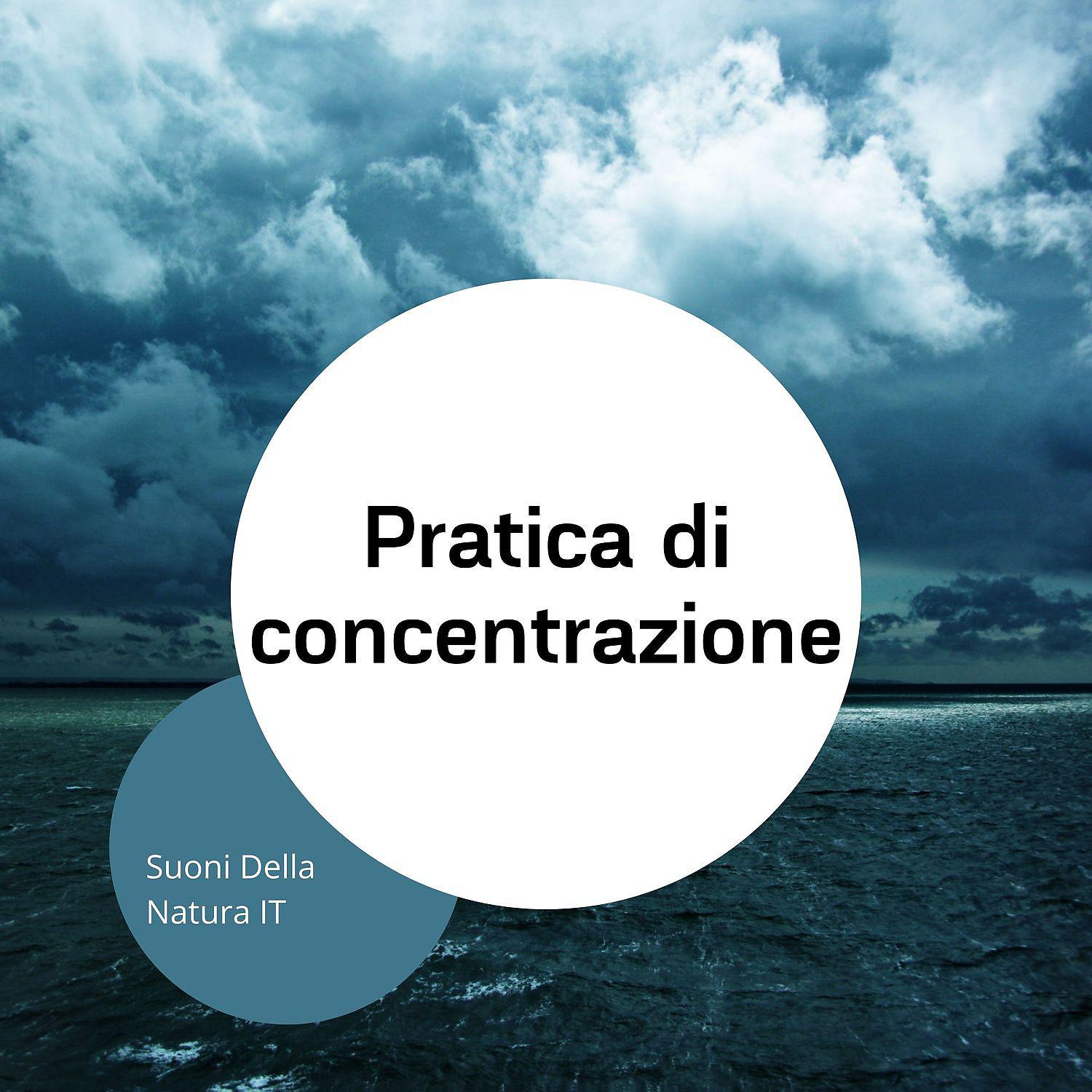 Постер альбома Pratica di concentrazione
