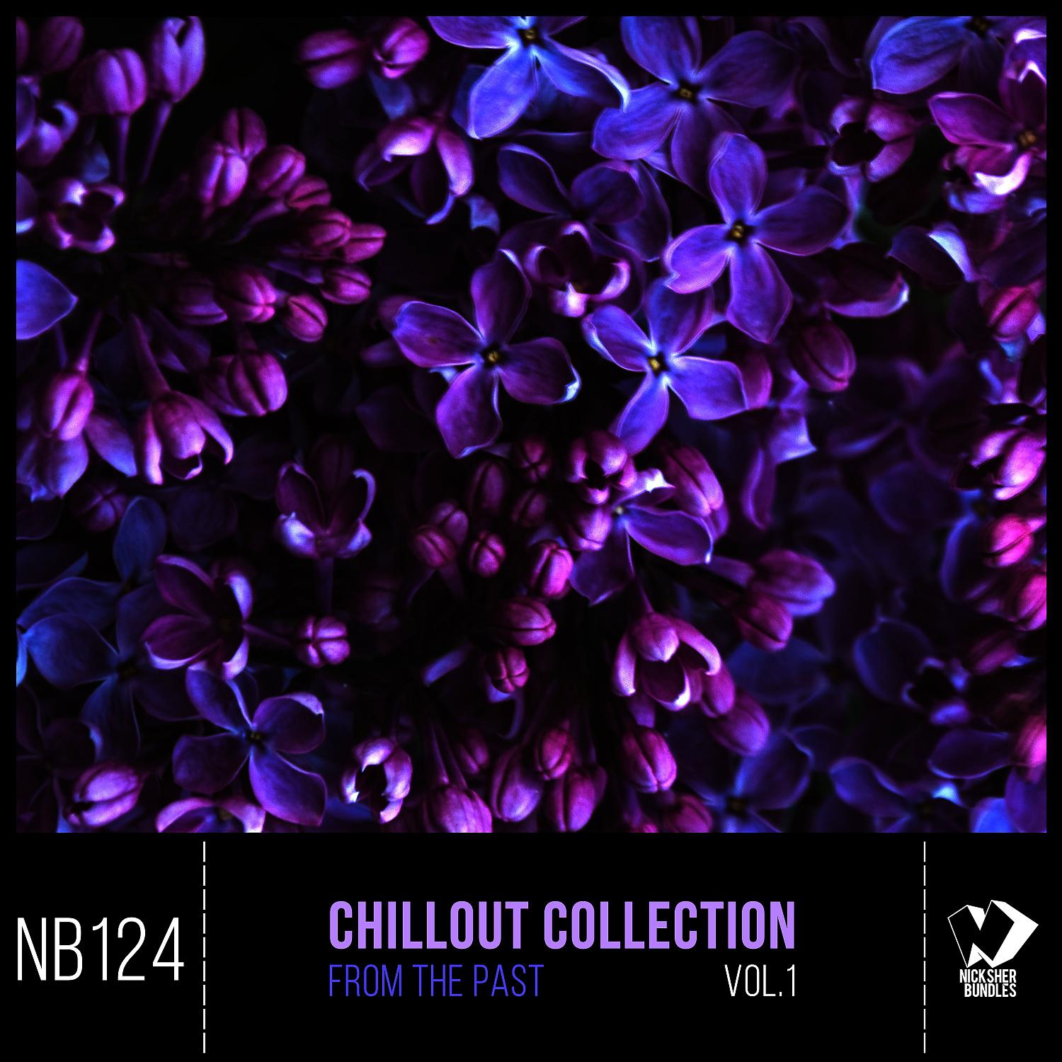 Постер альбома Chillout Collection from the Past, Vol.1
