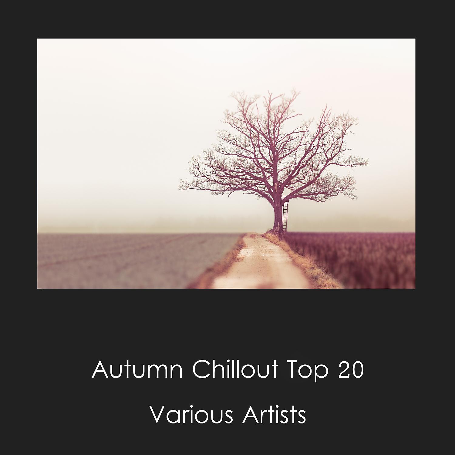 Постер альбома Autumn Chillout Top 20