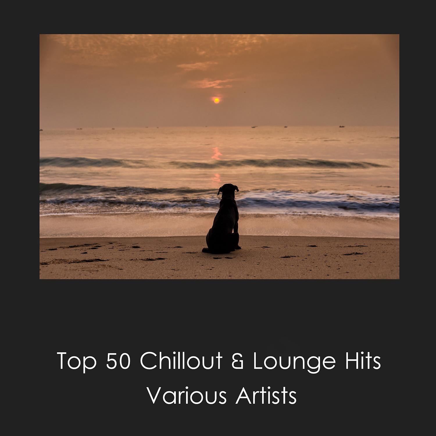Постер альбома Top 50 Chillout & Lounge Hits