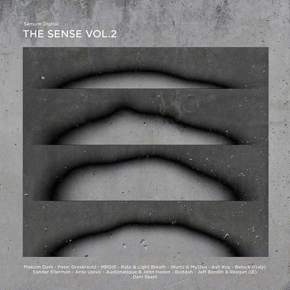 Постер альбома The Sense, Vol. 2