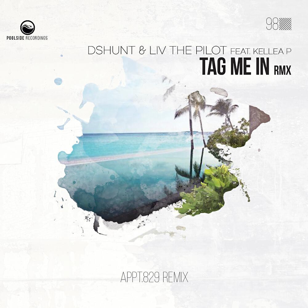 DSHunt - Tag Me In (Appt.829 Remix)