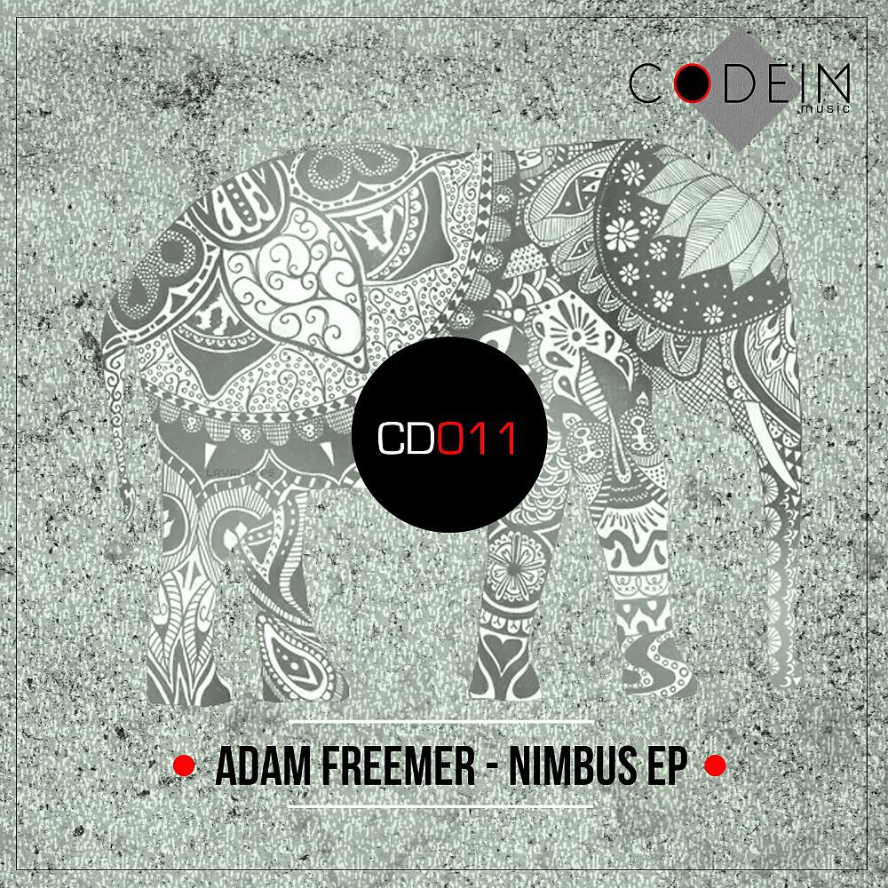 Adam Freemer - Inflection