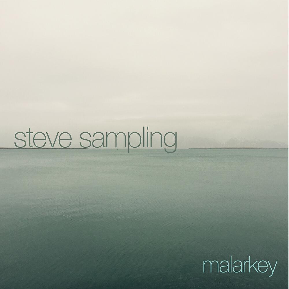 Steve Sampling - The Room