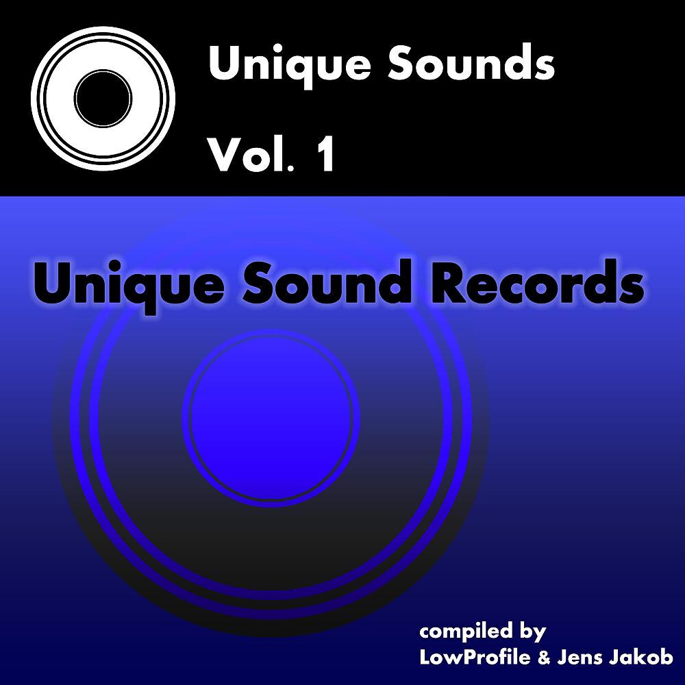 LowProfile - Animus (Mike Rodas Remix)
