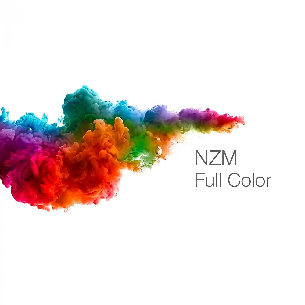 NZM - One Day In The City