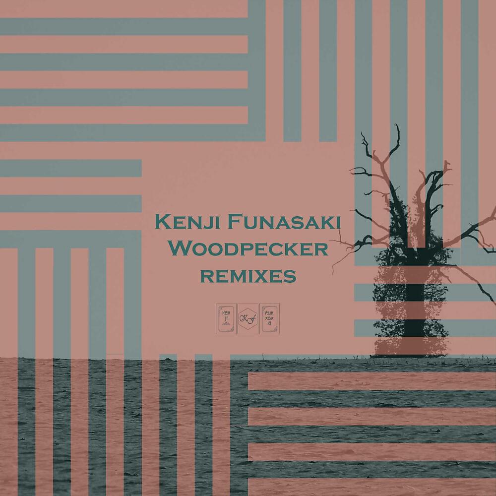 Kenji Funasaki - Woodpecker (Achim Bloch Remix)