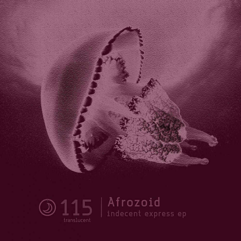 Afrozoid - Indecent Express