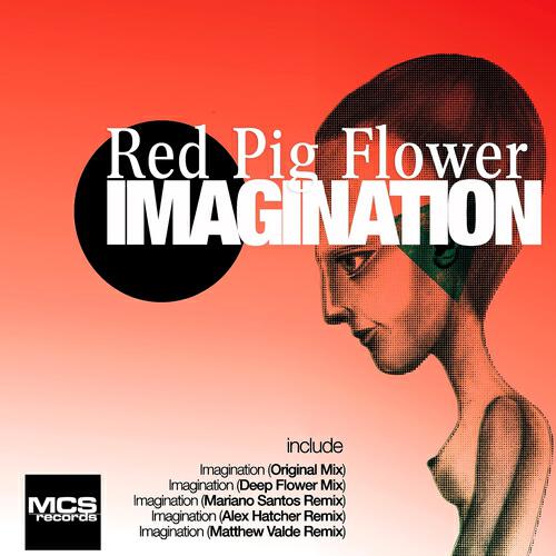 Red Pig Flower - Imagination (Matthew Valde Remix)
