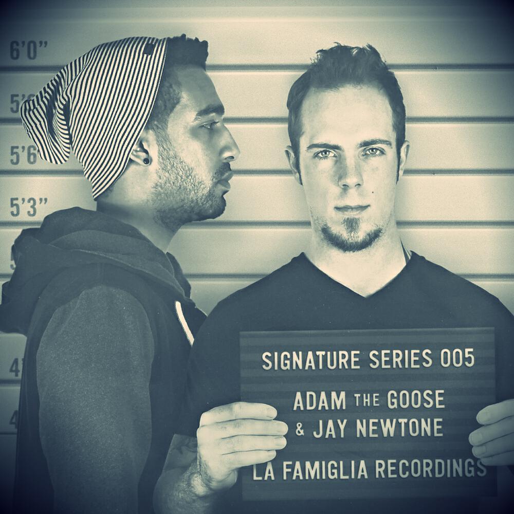 Adam The Goose - Recovery Party