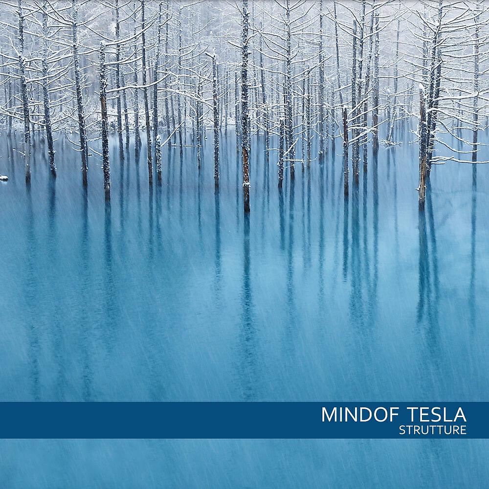 Mindof Tesla - Segnali