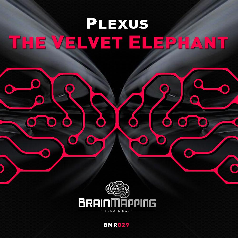 Постер альбома The Velvet Elephant