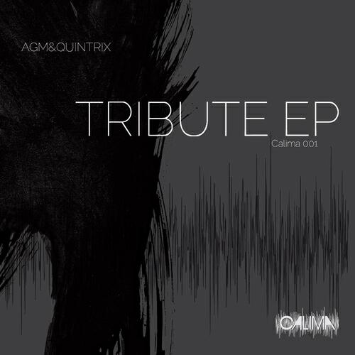 AGM & Quintrix - Level (Dub Mix)