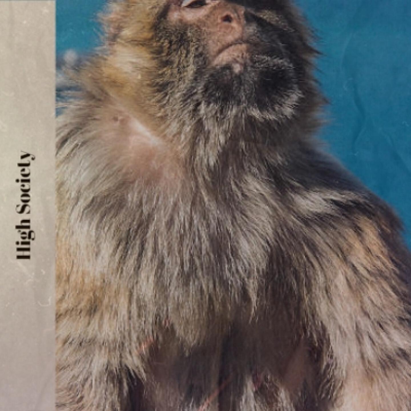 Beniamino Gigli - Rondine Al Nido