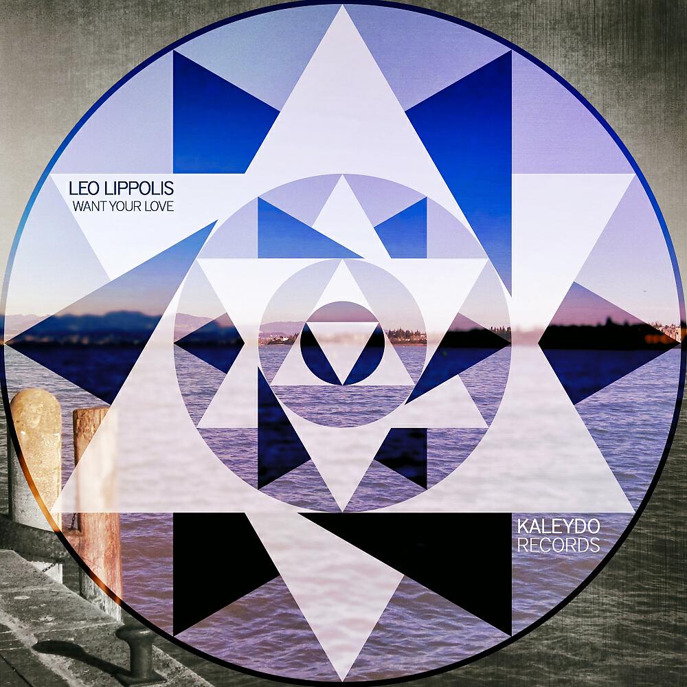 Leo Lippolis - Want Your Love
