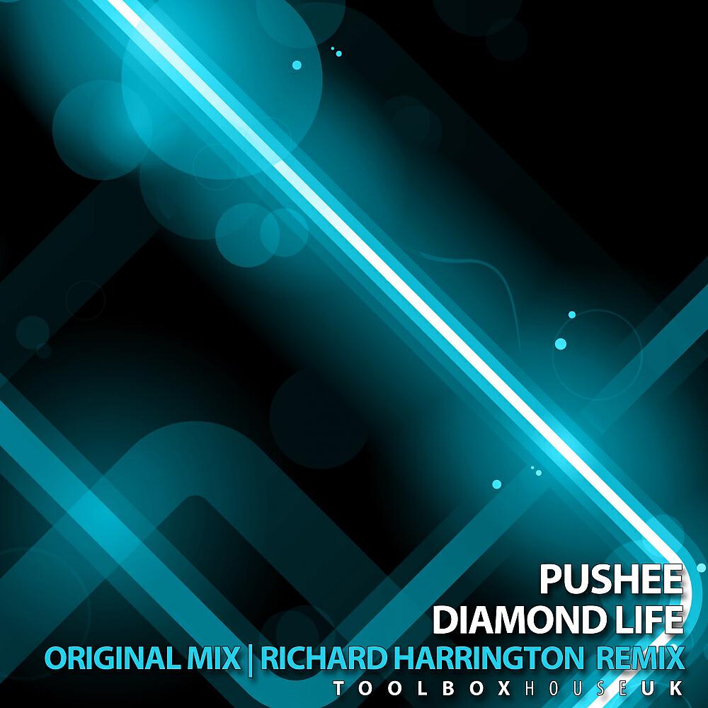 Pushee - Diamond Life (Richard Harrington Remix)