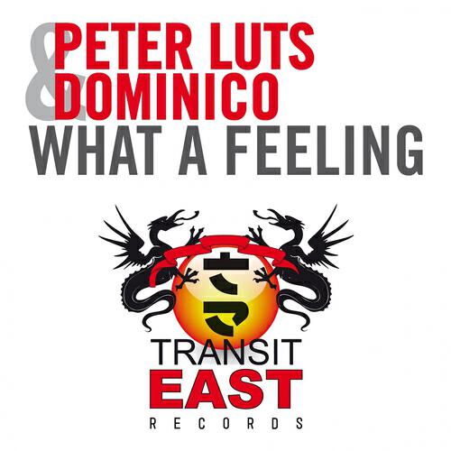 Peter Luts - What a Feeling (Ping Pong Remix)