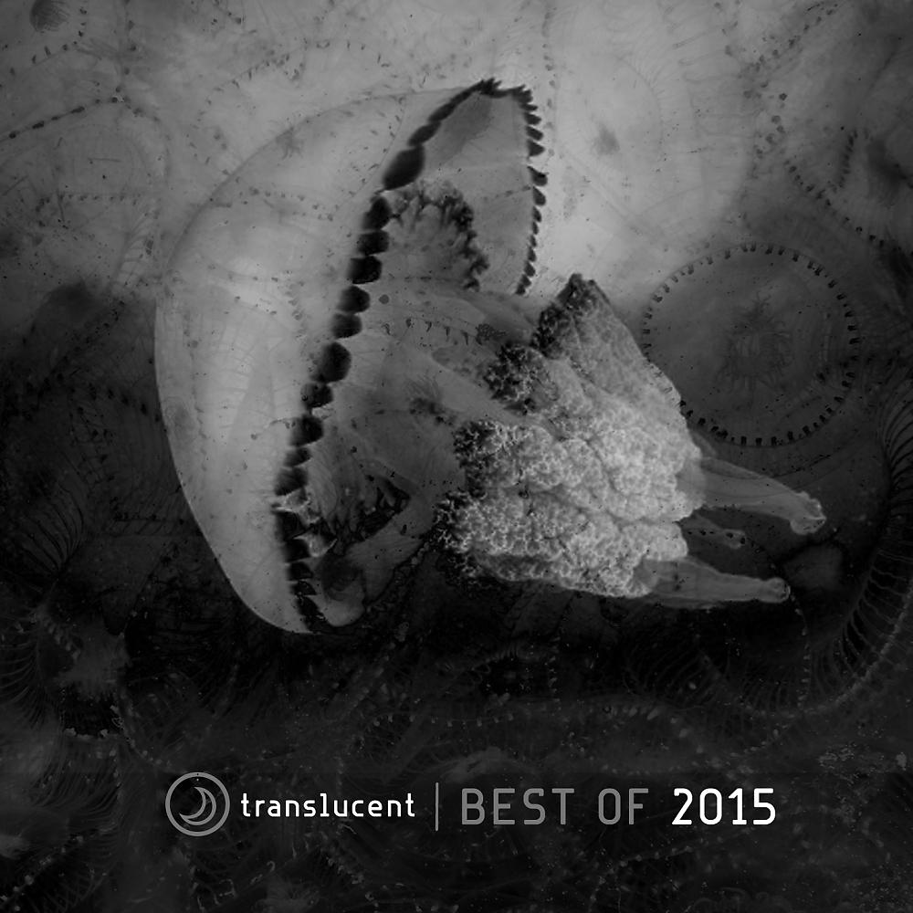 Постер альбома Translucent (Best of 2015)