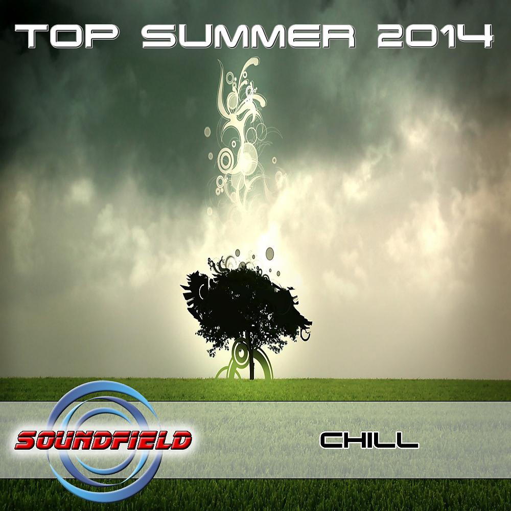 Постер альбома Chill Top Summer 2014