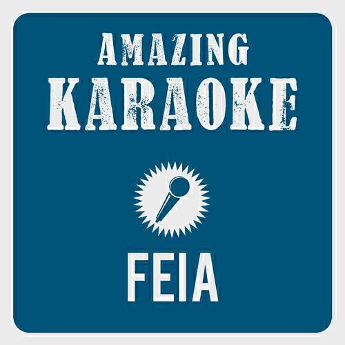 Amazing Karaoke - Feia (Karaoke Version) (Originally Performed By Ostbahn-Kurti)