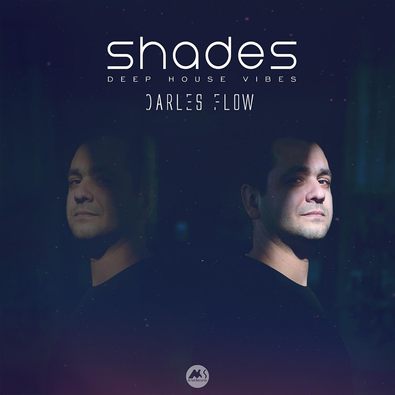 Darles Flow - Distant Echoes (Original Mix)