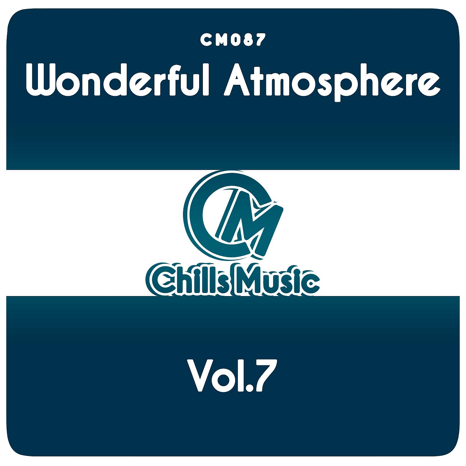 Постер альбома Wonderful Atmosphere Vol.7